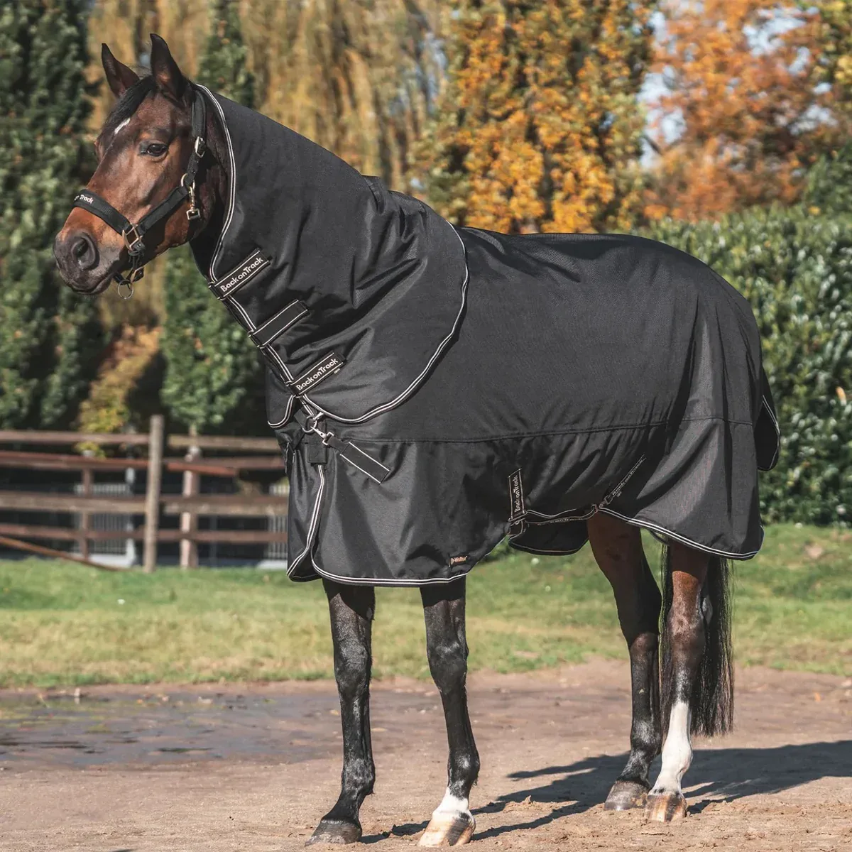 Back on Track® Obsidian 150G Turnout Blanket with Neck Cover
