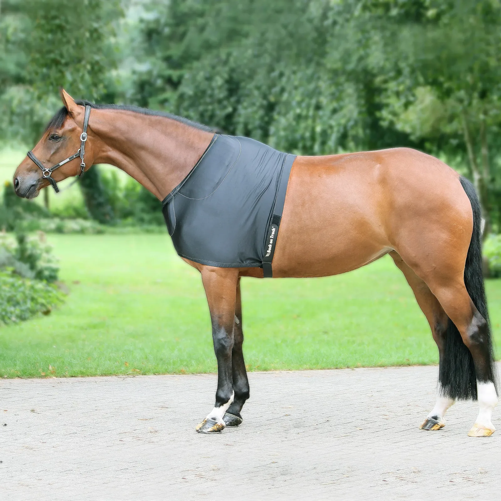 Back on Track® Therapeutic Equine Shoulder Guard with Pads - Image 2