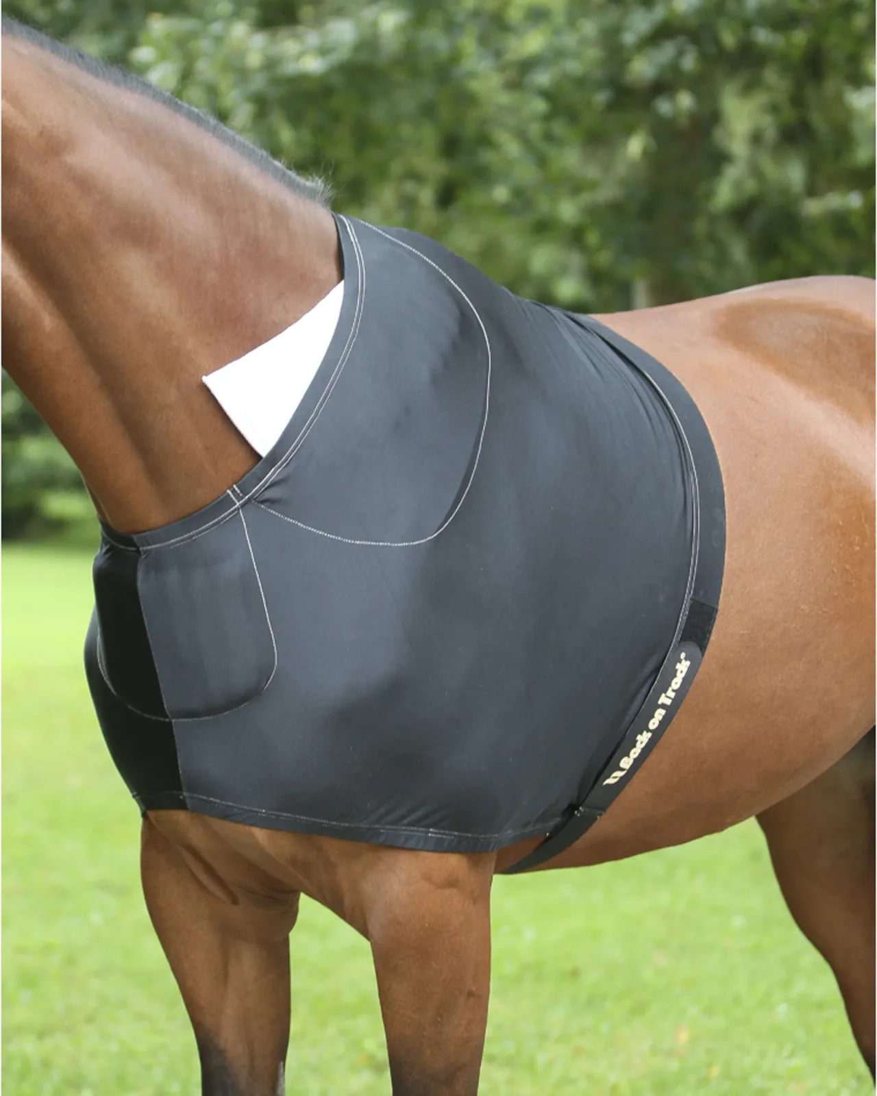 Back on Track® Therapeutic Equine Shoulder Guard with Pads
