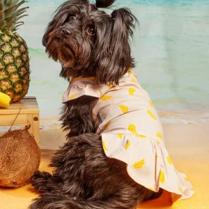 Bananas Lightweight Dog Dress (FINAL SALE)