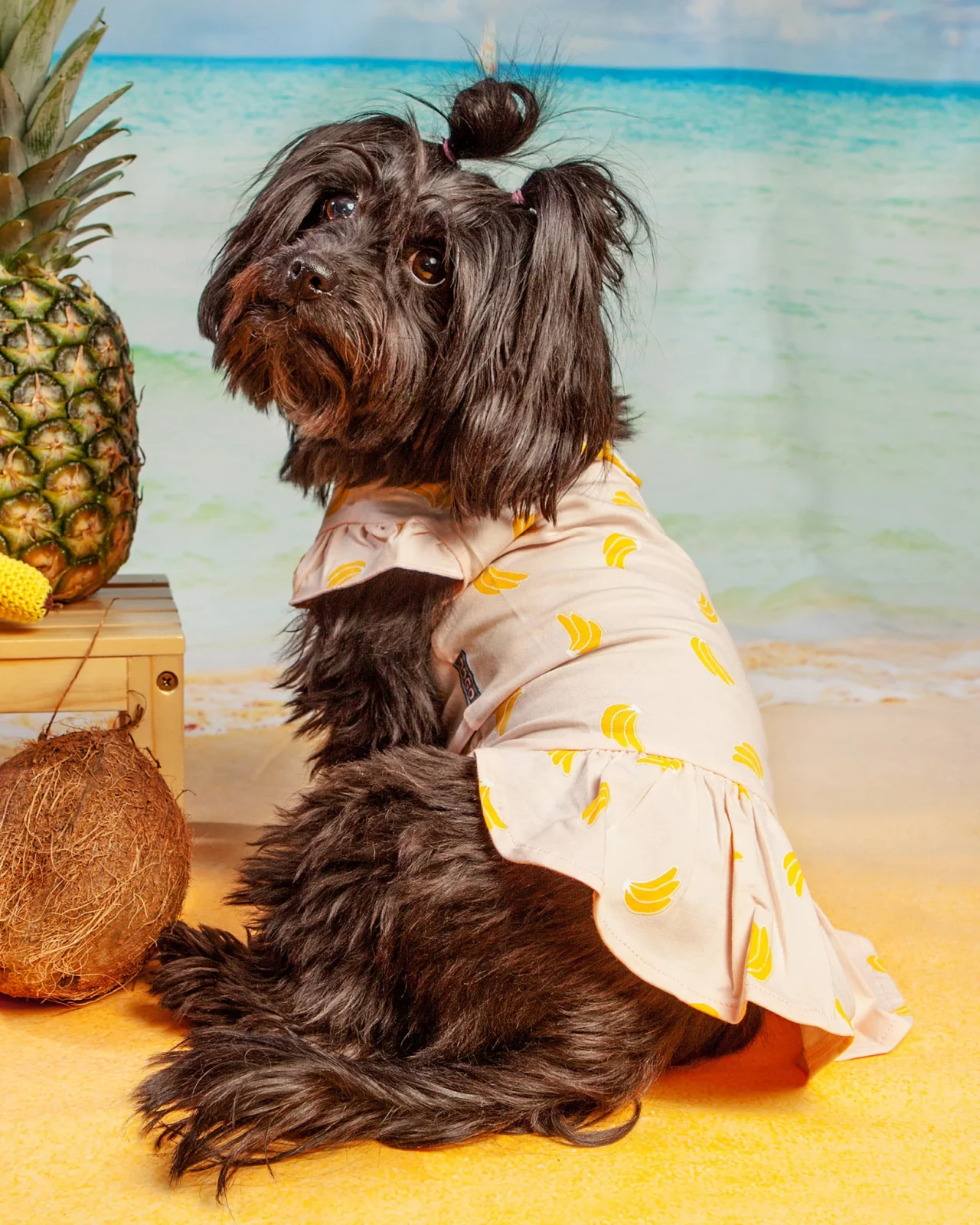 Bananas Lightweight Dog Dress (FINAL SALE)
