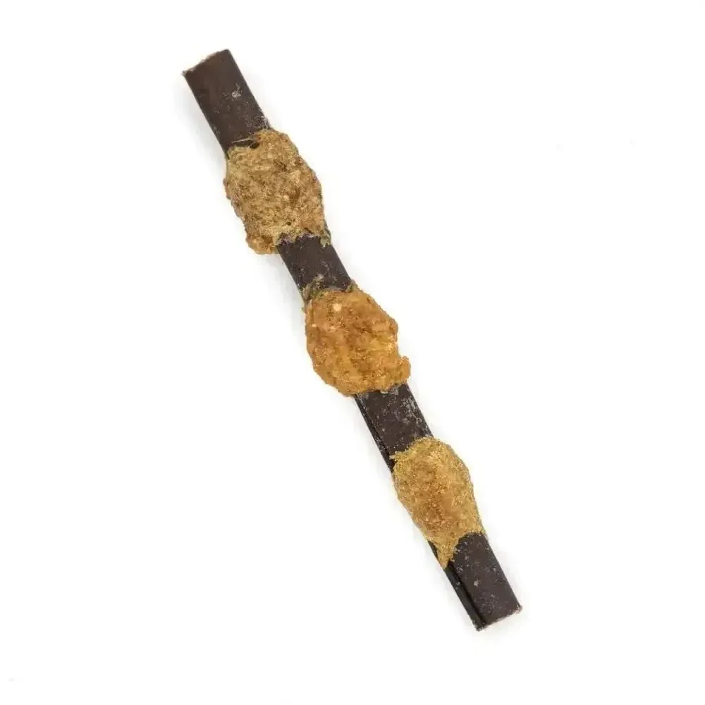 Barkworthies Collagen Beef Stick Kabobs 6" Bulk (Case of 35)