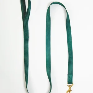 Basic Nylon Dog Leash in Evergreen (Made in the USA)