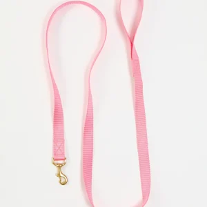 Basic Nylon Dog Leash in Pink (Made in the USA)