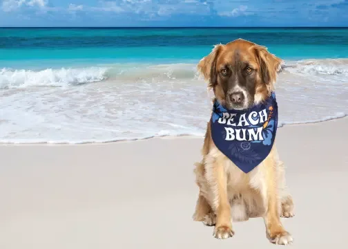 Beach Bum Dog Bandana by Dog Fashion Living - Image 2