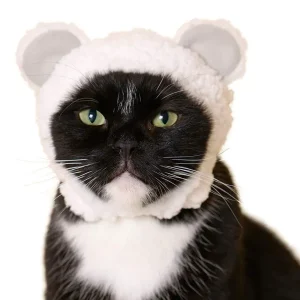 Bear Cap for Cats (Surprise Box)