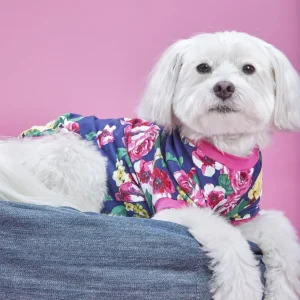 BEDHEAD | Lounge Dog T in Bella Rose