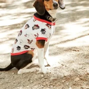 BEDHEAD | Lounge Dog T in Dignified Dog