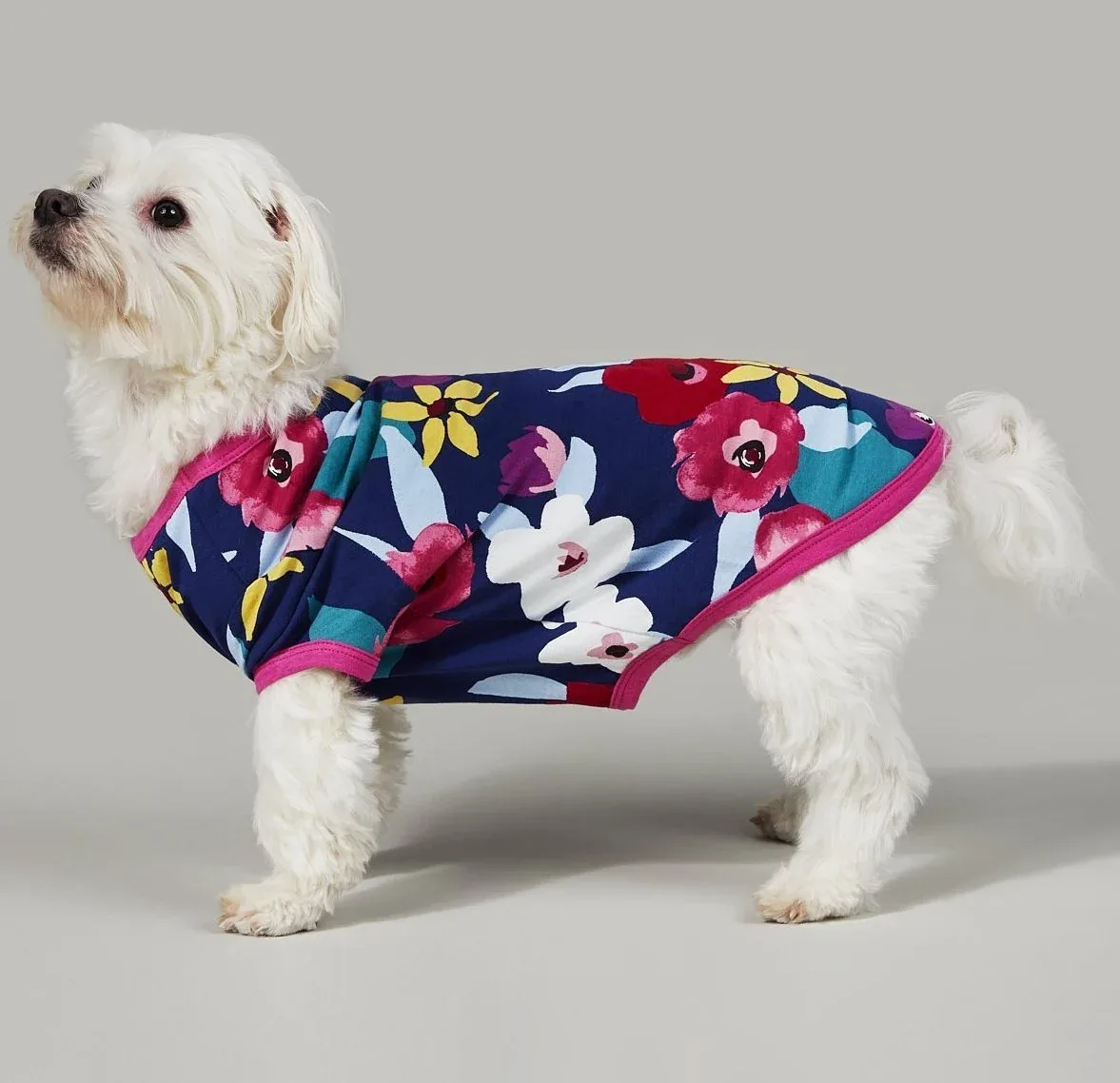 BEDHEAD | Lounge Dog T in Painter's Floral