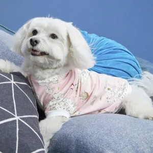 BEDHEAD | Lounge Dog T in Treasure Map