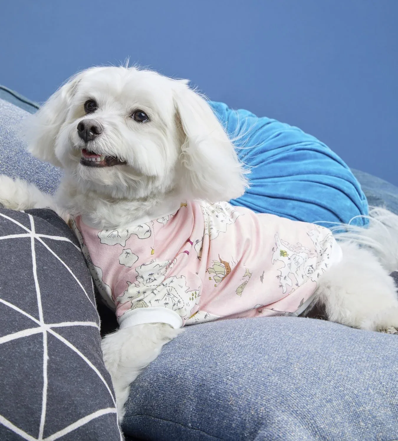 BEDHEAD | Lounge Dog T in Treasure Map