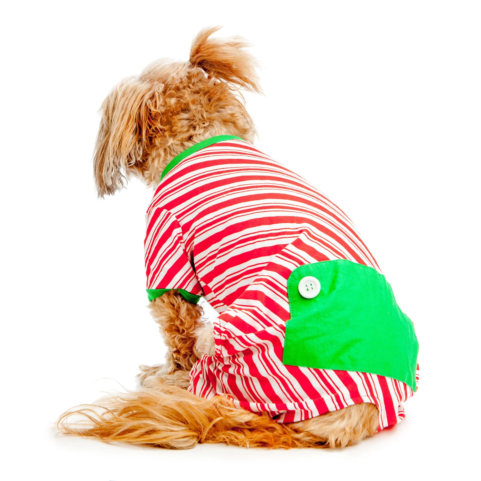 BEST FURRY FRIENDS | Red and White Striped Holiday PJs - Image 2