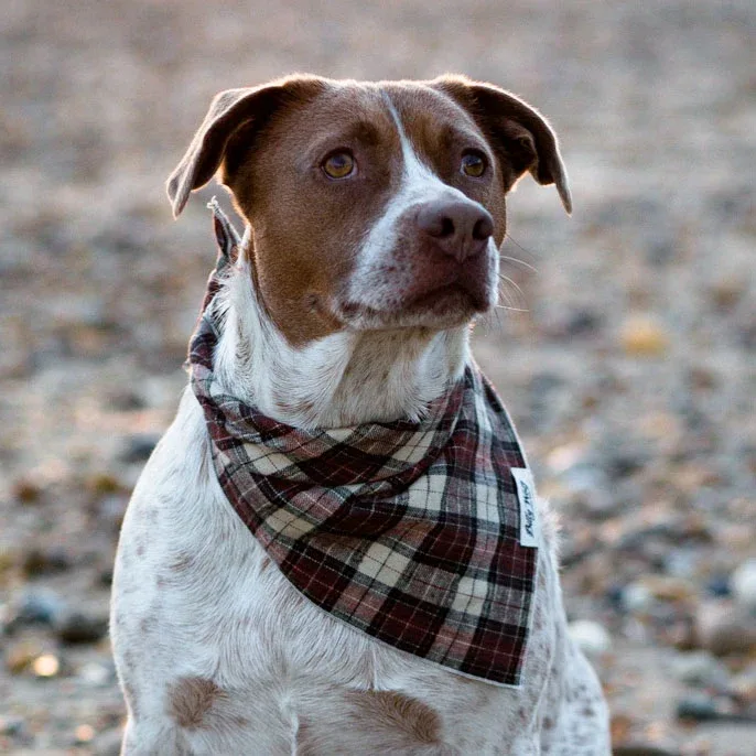 BILLY WOLF | Scout Bandana - Image 2