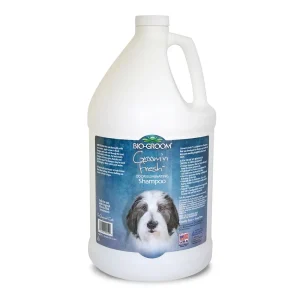 Bio-Groom Groom 'N Fresh Dog Grooming Conditioning Shampoo