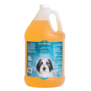 Bio-Groom Groom 'N Fresh Dog Grooming Conditioning Shampoo Gallon