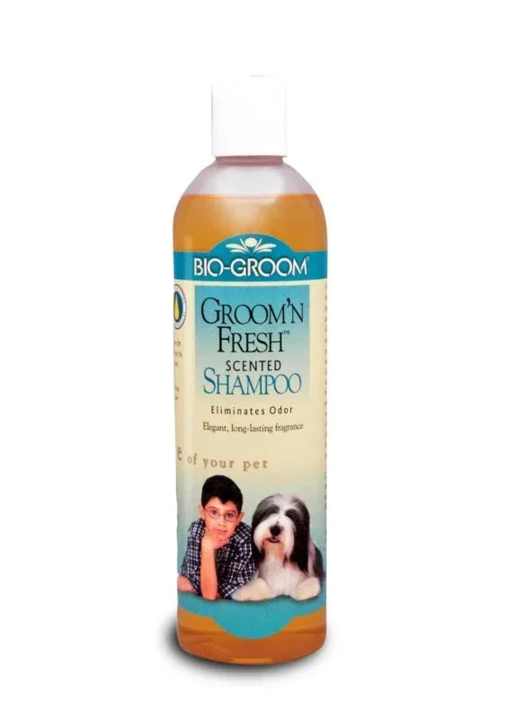 Bio-Groom Groom N Fresh Dog Shampoo