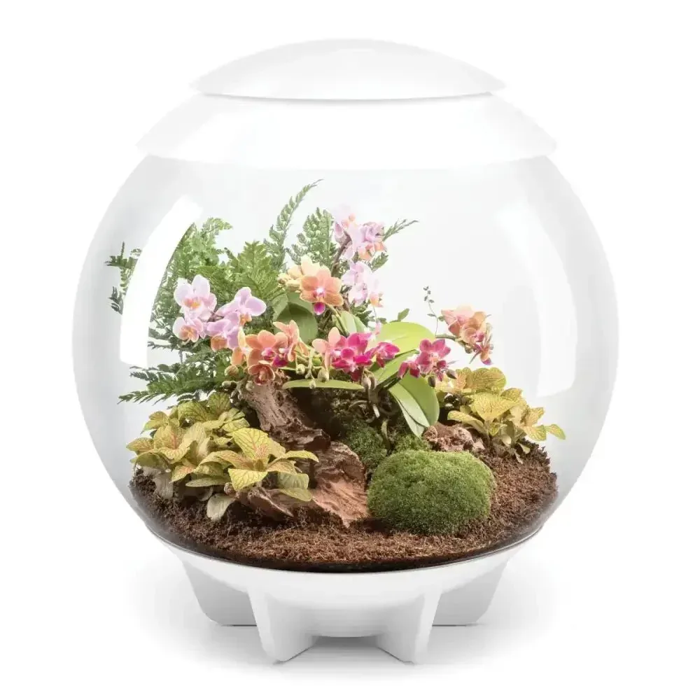 BiOrb AIR 60 Terrarium