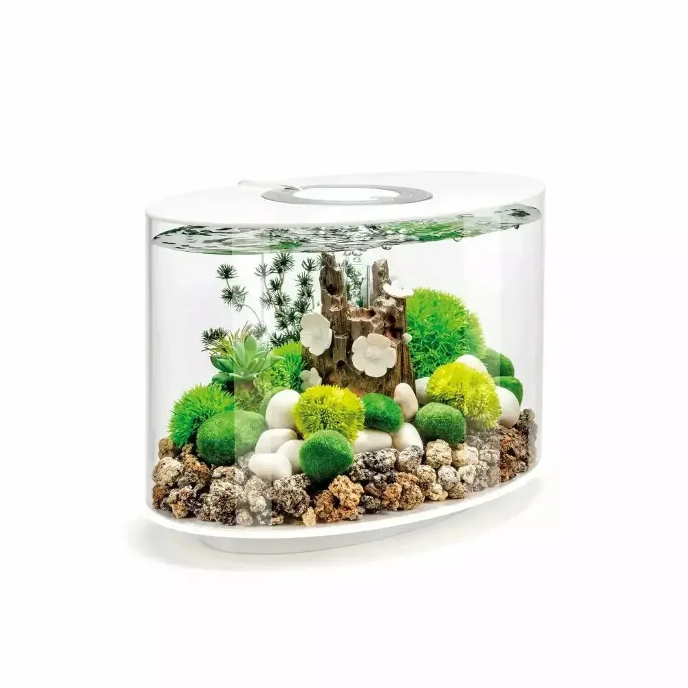 biOrb LOOP 15 Aquarium with Standard Light 4 gallon