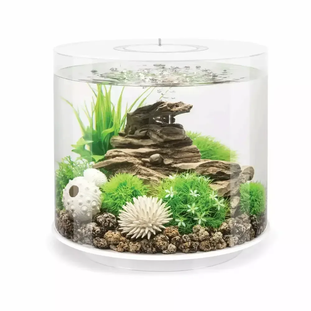 biOrb TUBE 15 Aquarium with Standard Light 4 gallon