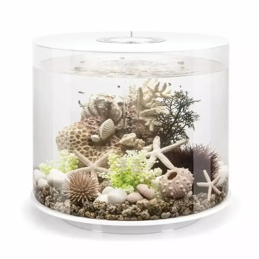 biOrb TUBE 35 Aquarium with Standard Light 9.2 gallon