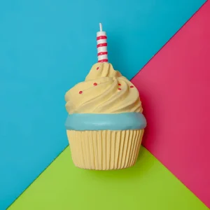 Birthday Cupcake Squeaker Dog Toy