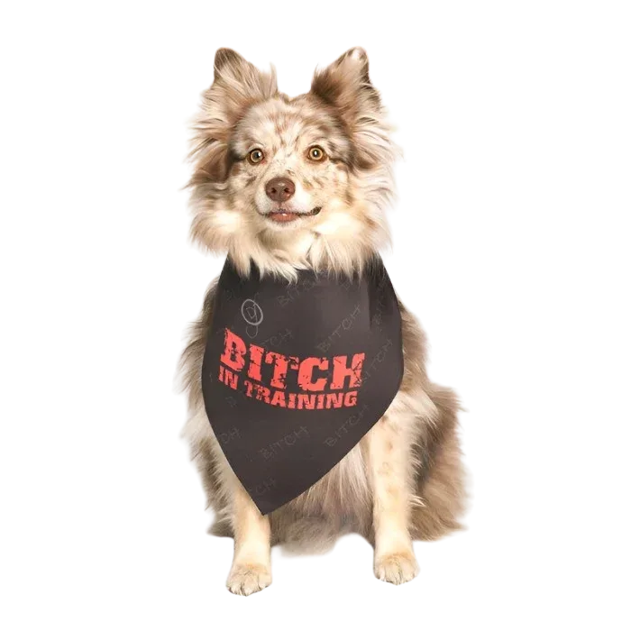 Bitch in Training Dog Bandana by Dog Fashion Living