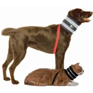 BiteNot Pet Collar