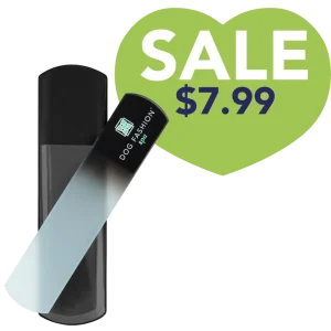 Black Glass Nail File by Dog Fashion Spa