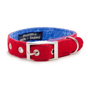 BLOSSOM CO. | Vatersay Harris Tweed Dog Collar