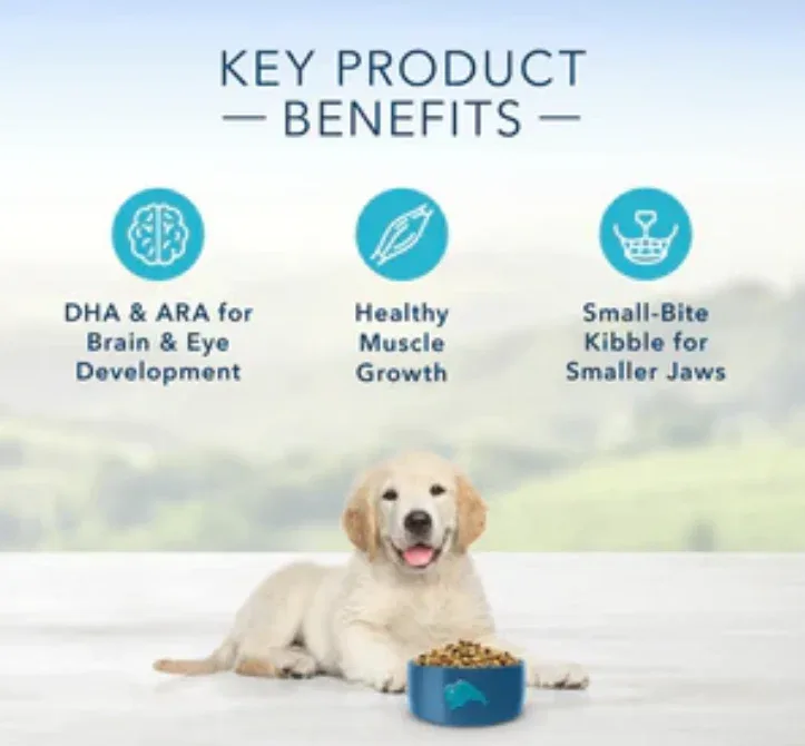 Blue Buffalo Life Protection Natural Chicken & Brown Rice Recipe Dry Puppy Food - Image 2