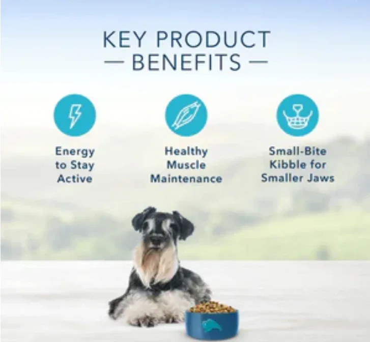 Blue Buffalo Life Protection Natural Chicken & Brown Rice Small Breed Senior Dog - Image 2