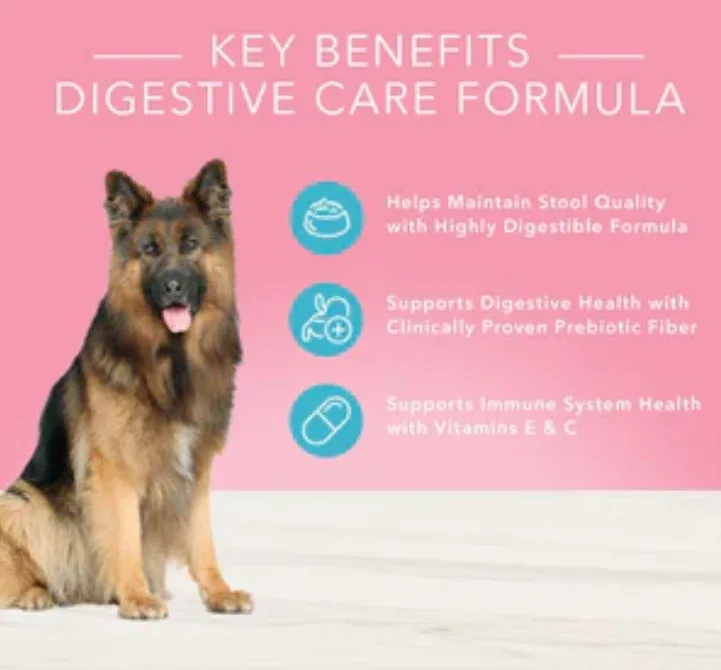 Blue Buffalo True Solutions Blissful Belly Natural Digestive Care Chicken Recipe - Image 2