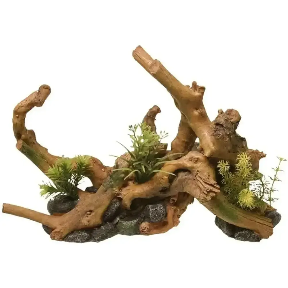 Blue Ribbon Driftwood Centerpiece with Plants