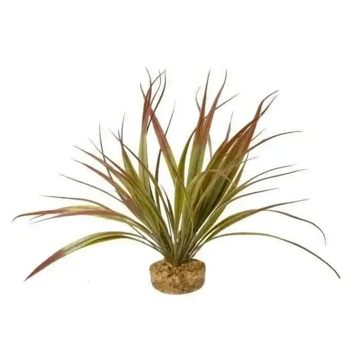 Blue Ribbon Gravel Base Plant - Amazonia Plant Plum