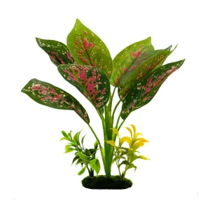 Blue Ribbon Pet Products Tropical Gardens Chinese Evergreen Aquarium Plant 1ea/12in.