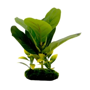 Blue Ribbon Pet Products Tropical Gardens Fiddle Leaf Aquarium Plant 1ea/8in.