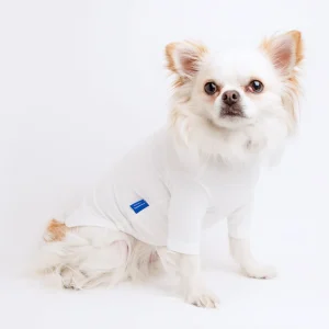 Body Warm Turtleneck in White (FINAL SALE)