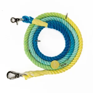 Bolt of Energy Hands-Free Rope Leash