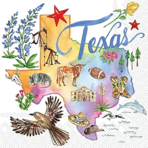 Boston International Inc Texas State Collection Cocktail Napkin