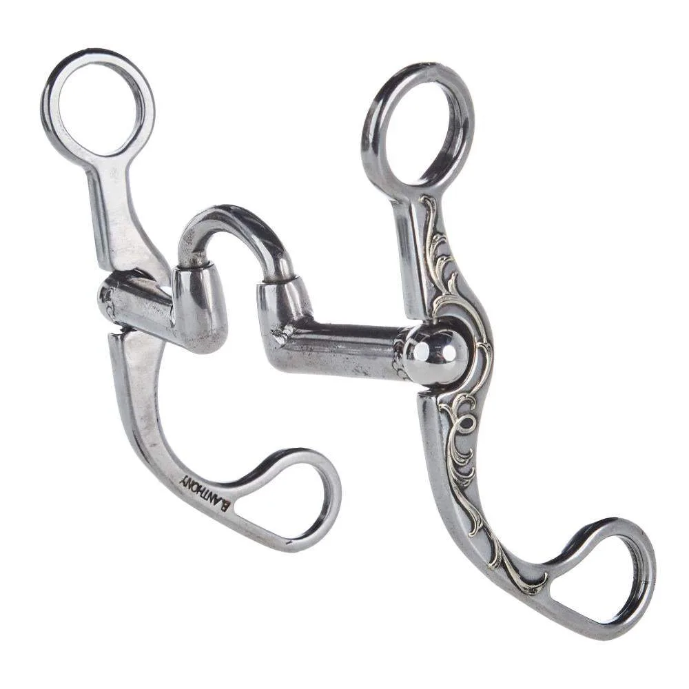 Brandon Anthony Bit & Spur Co. Silver Engraved Small Correctional Port Shank Bit