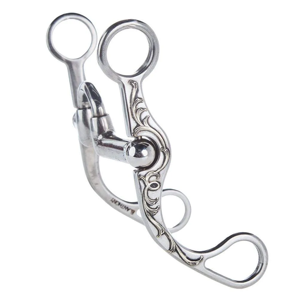 Brandon Anthony Bit & Spur Co. Silver Engraved Small Correctional Port Shank Bit - Image 2