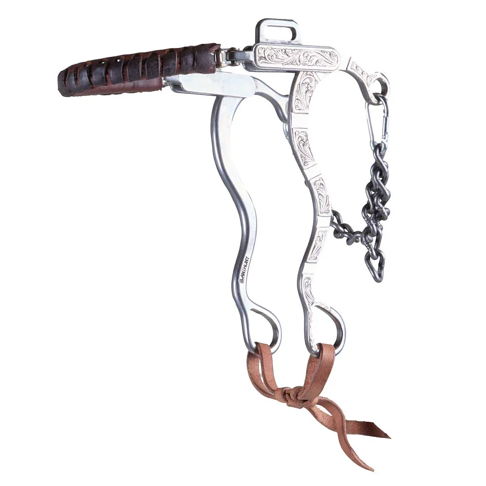 Brandon Anthony Engraved Silver Bar Long Shank Hackamore - Image 2
