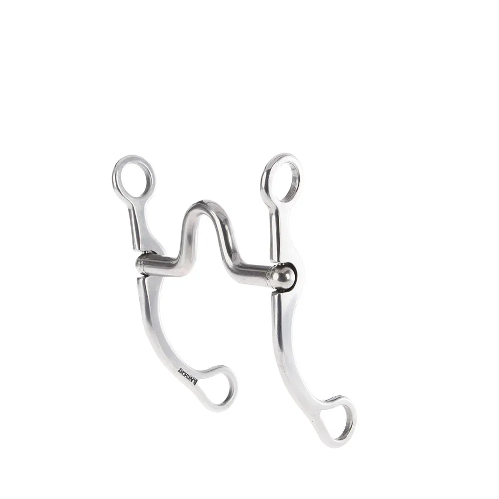 Brandon Anthony Solid High Port Silver Shank Bit