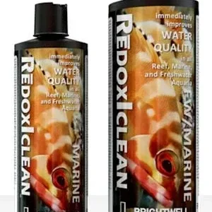 Brightwell Aquatics RedoxIClean, 2 Liters / 67.6 oz.
