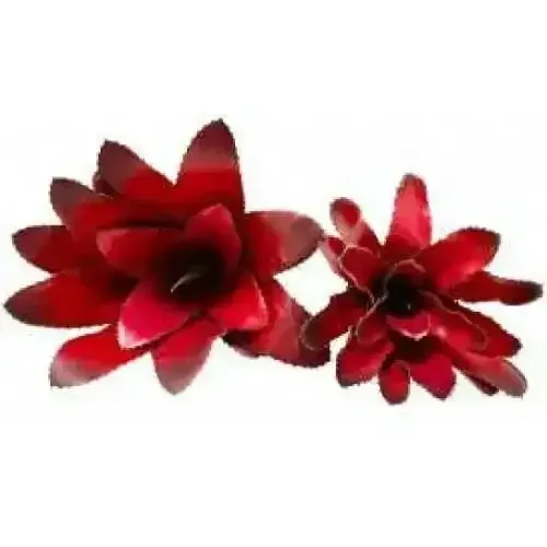 bromeliads Plants Enclosure Decor Tank Decoration Habitat Aquarium Accessories