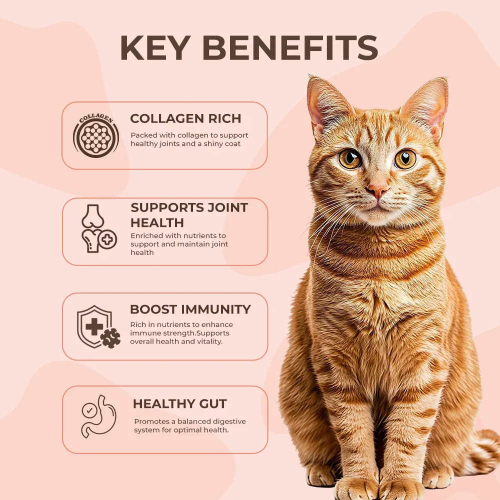 Bruno's Wild Essentials Atlantic Salmon Bone Broth For Cats - Image 2