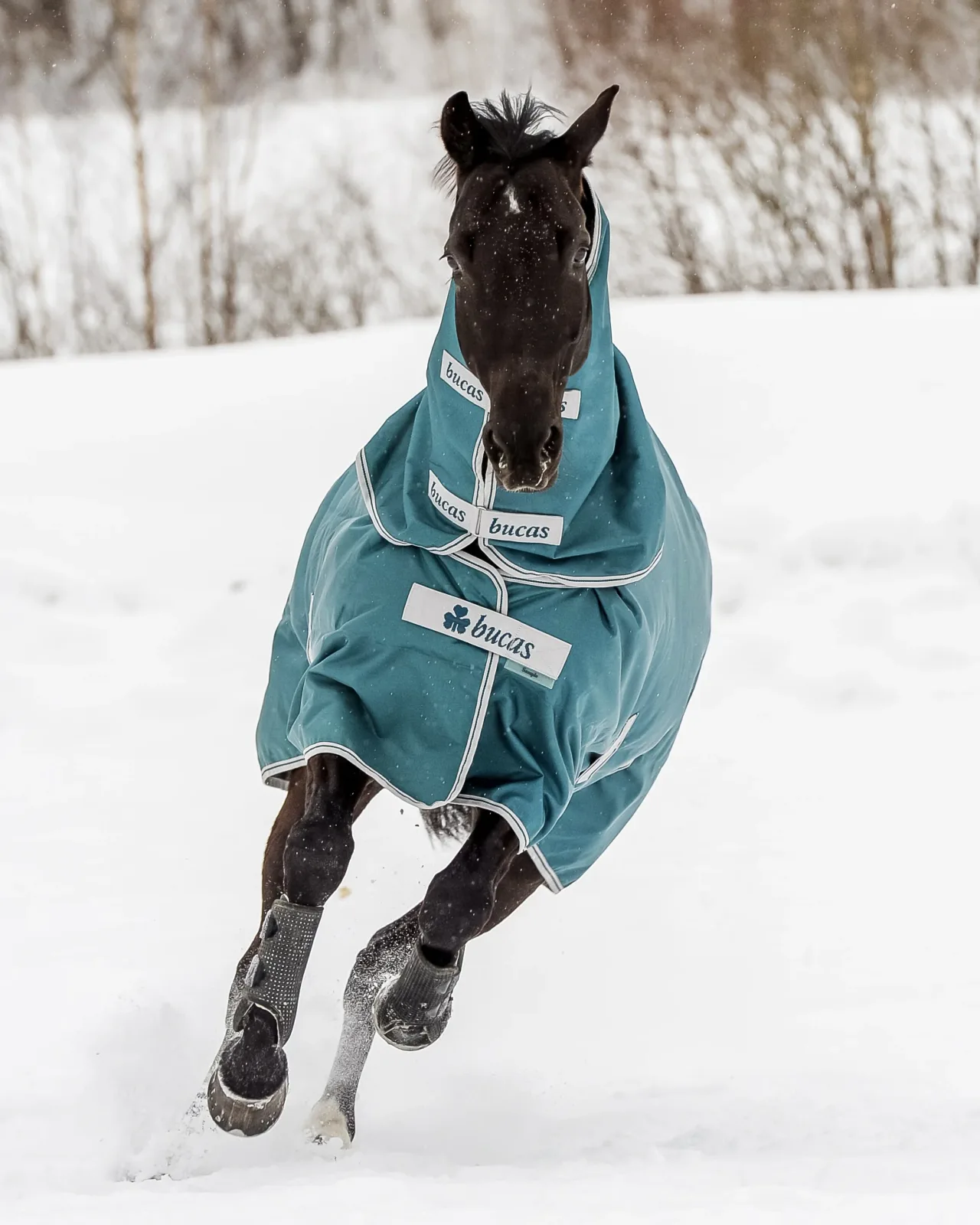 Bucas Atlantic 200 Gram Turnout Blanket - Image 2