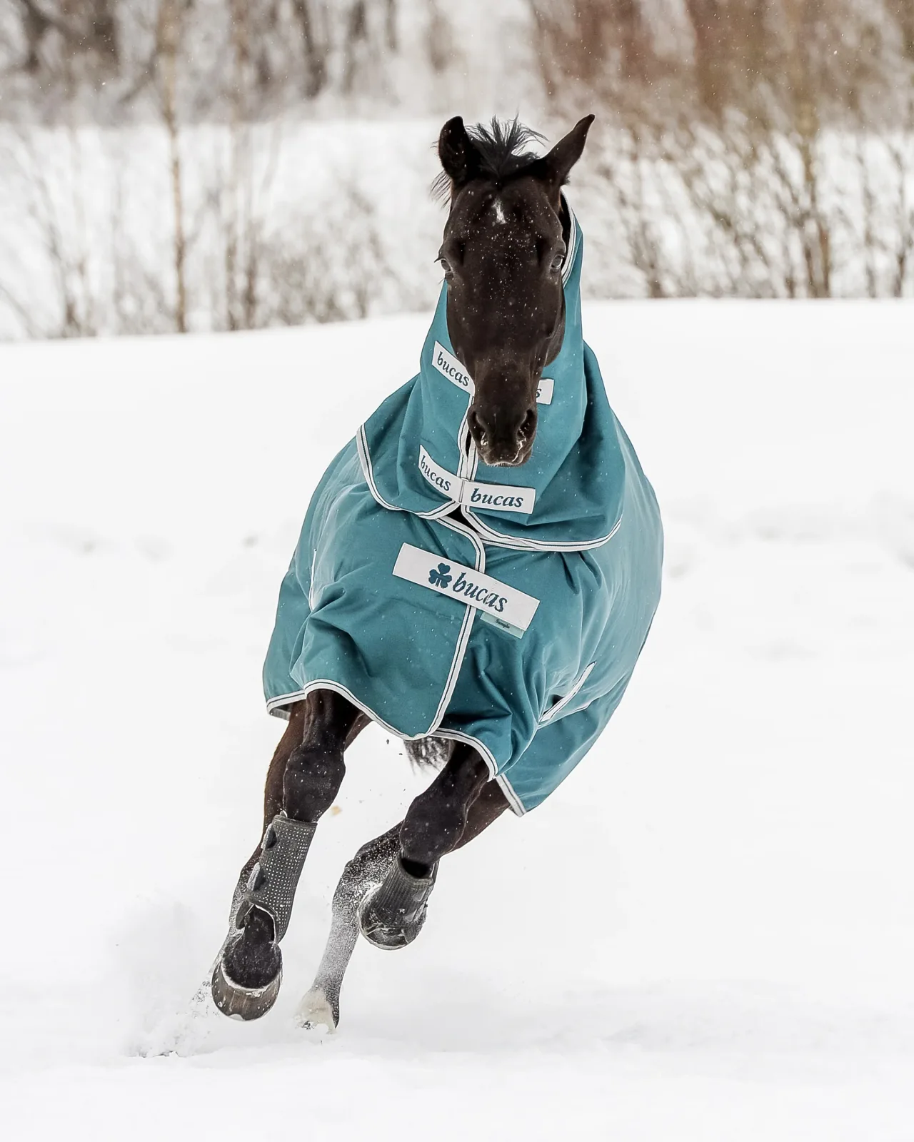 Bucas Atlantic 50 Gram Turnout Blanket - Image 2