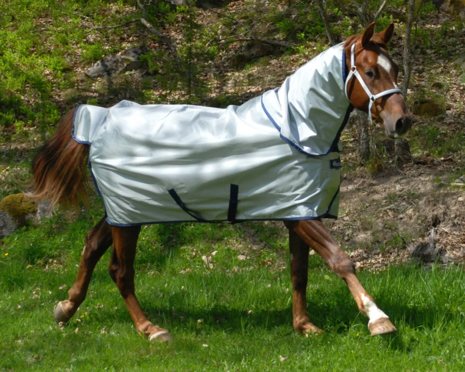 Bucas Power Classic Lightweight Turnout Blanket - Image 2