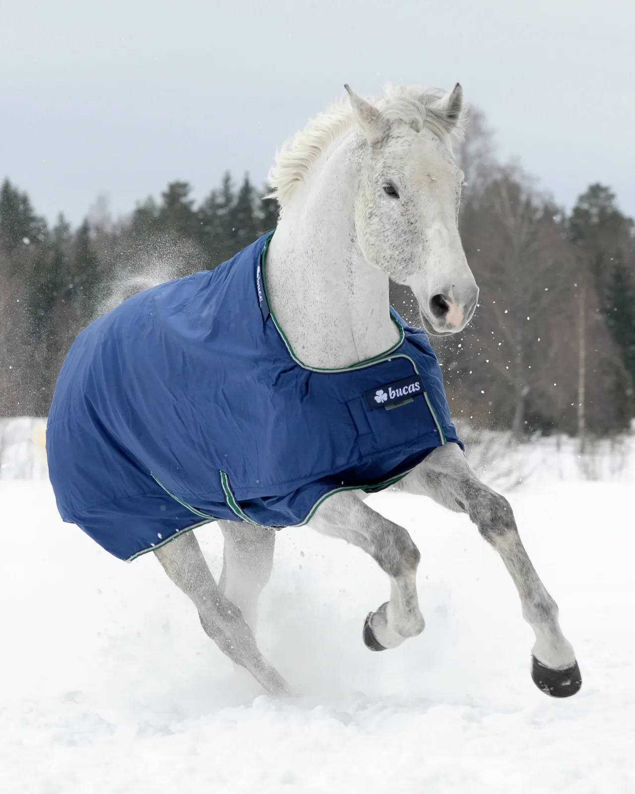 Bucas Smartex Extra Turnout Blanket